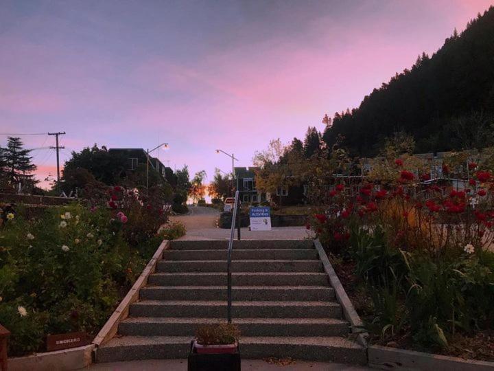 Hampshire - Lakeview Holiday park Queenstown